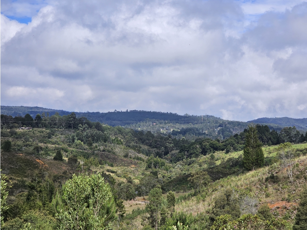 Venta de Lote en Guarne Antioquia sector La Brizuela — foto 3