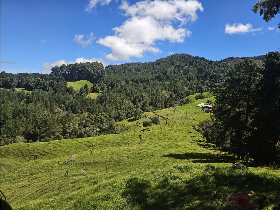 Venta de Lotes en San Pedro de los Milagros - Vereda Zafra — foto 4