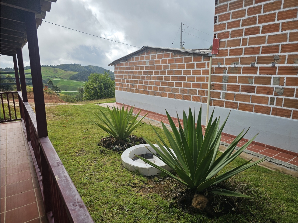 Venta de espectacular finca en San Pedro de los Milagros Antioquia — foto 5