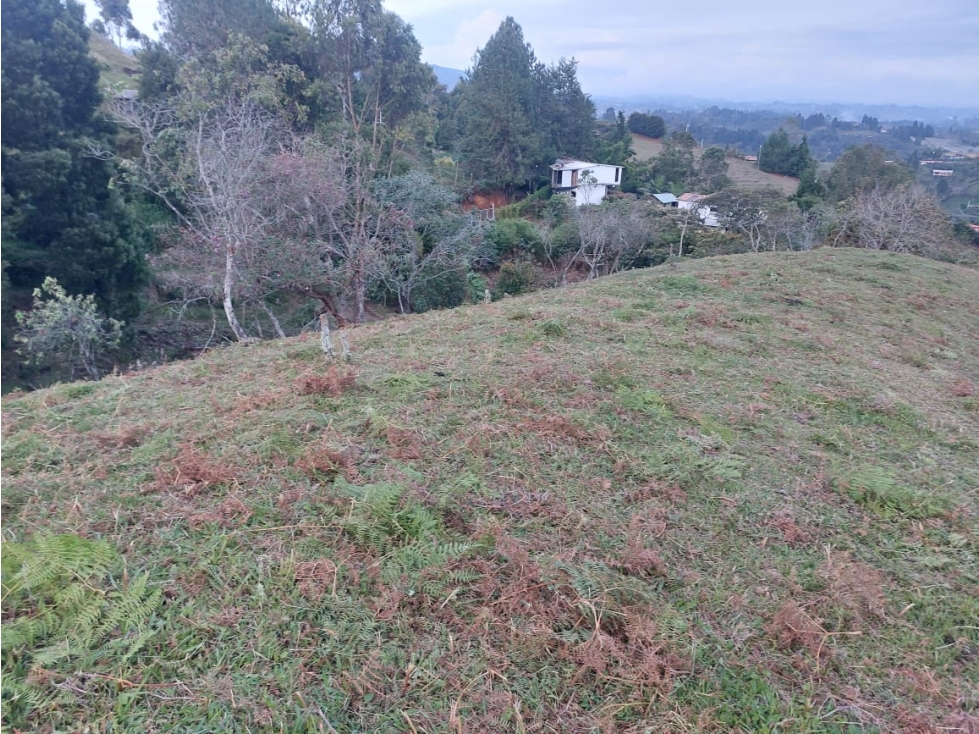 Venta de lote en la vereda San Jose en Guarne Antioquia — foto 4