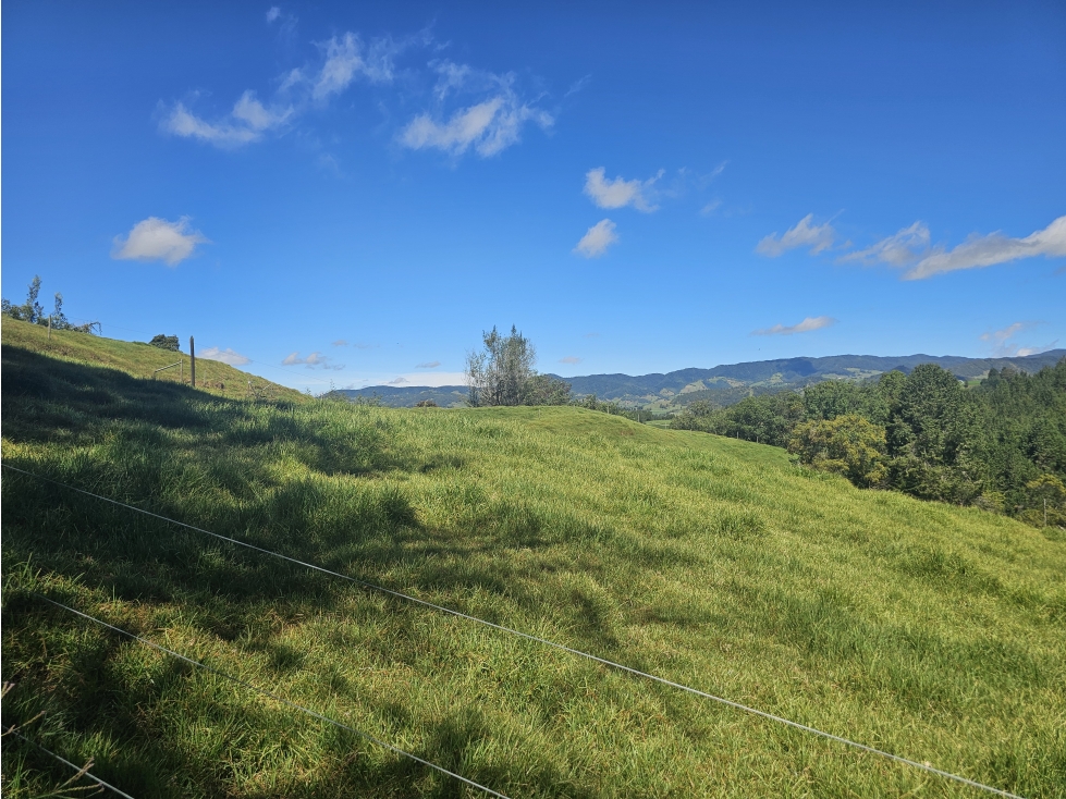 Venta de Lotes en San Pedro de los Milagros - Vereda Zafra — foto 5