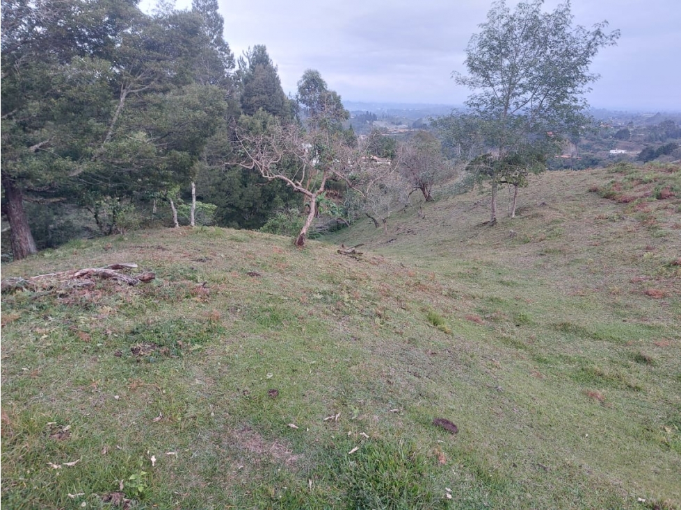 Venta de lote en la vereda San Jose en Guarne Antioquia — foto 5