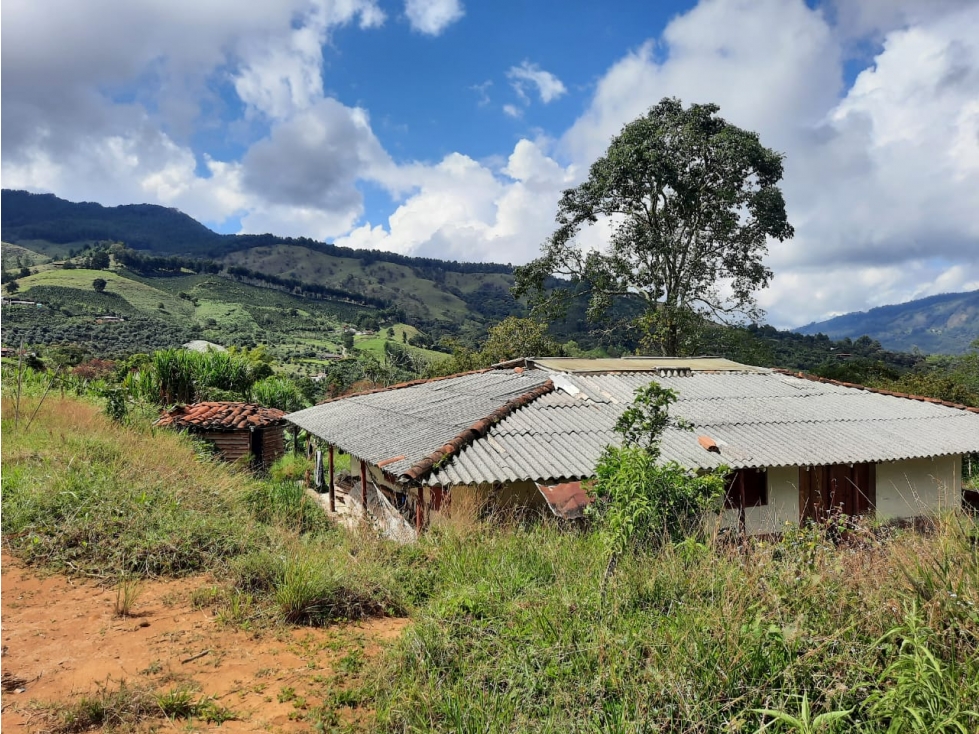 Venta de Lotes en Jericó Antioquia vereda Estrella Nueva - 2