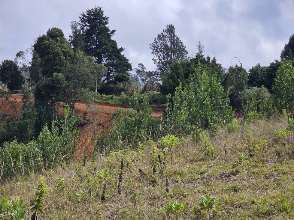 Venta de Lote en Guarne Antioquia sector La Brizuela — foto 5