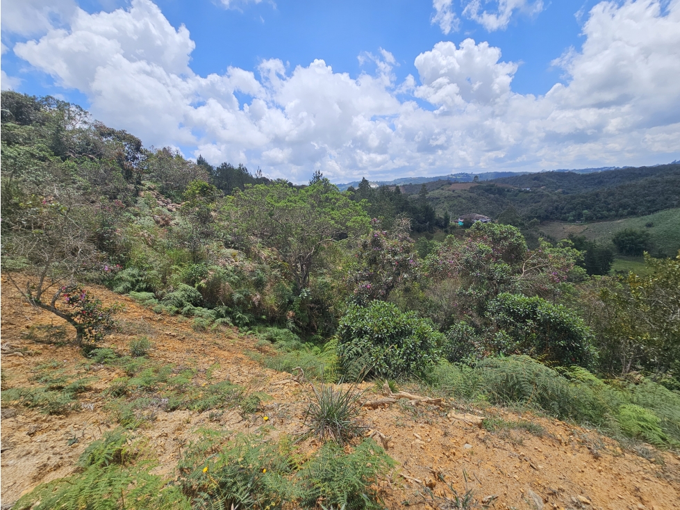 Venta de Lote en San Vicente Antioquia sector Monte Alegre — foto 5
