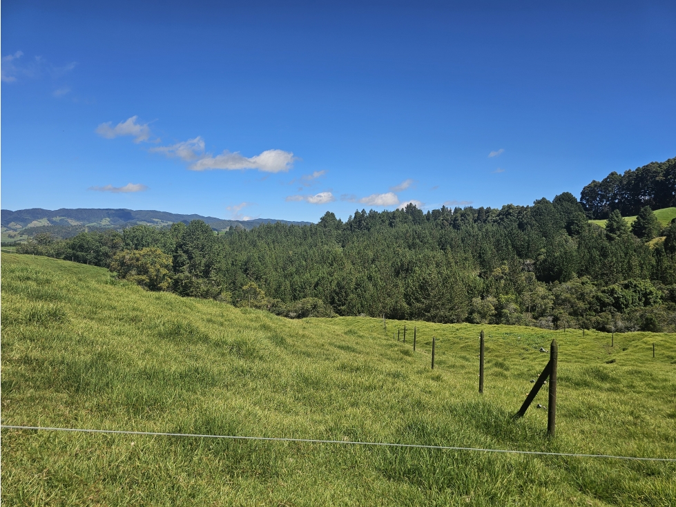 Venta de Lotes en San Pedro de los Milagros - Vereda Zafra — foto 6