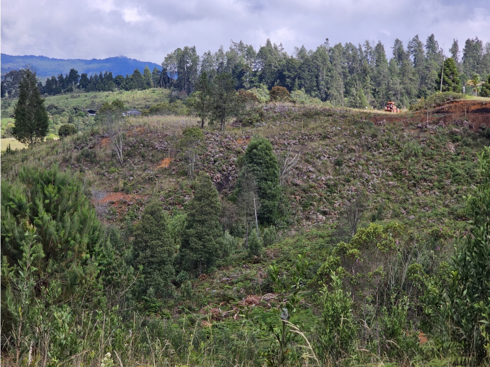 Venta de Lote en Guarne Antioquia sector La Brizuela — foto 6
