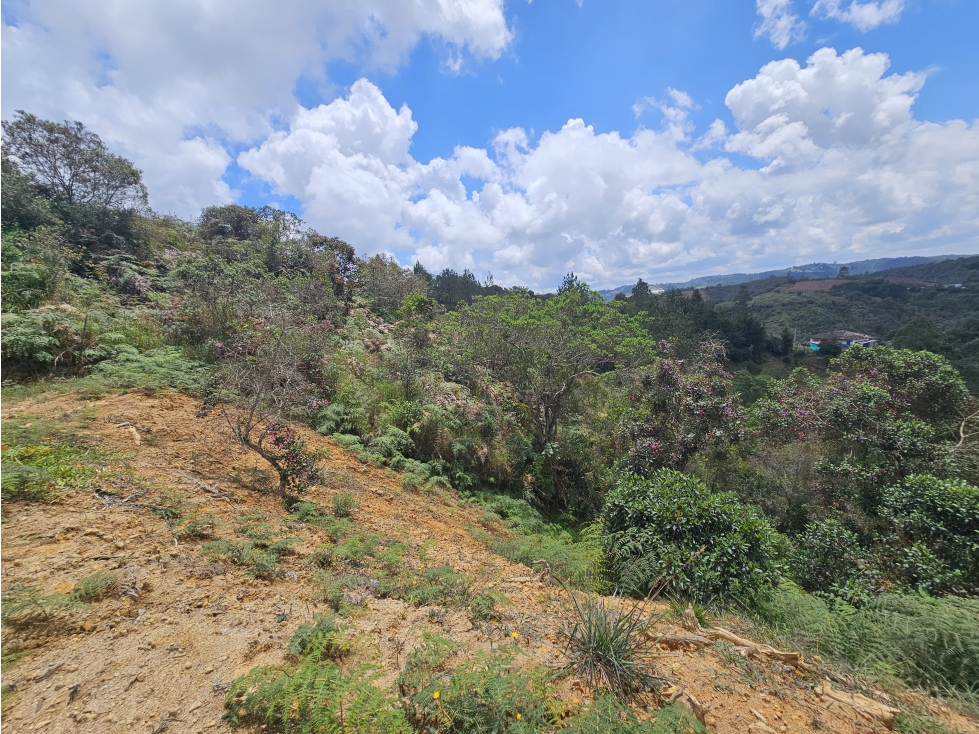 Venta de Lote en San Vicente Antioquia sector Monte Alegre — foto 6