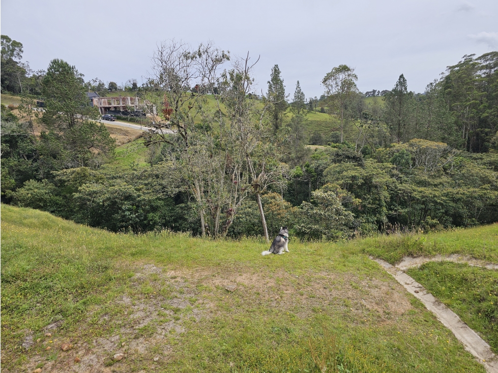 Venta de Lotes En El Retiro Parcelación CIMAZUL - 6