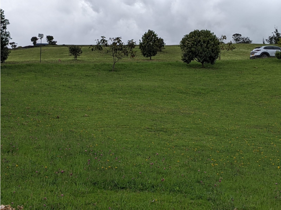 Lote en Sopó, Conjunto Montevioleta — foto 3