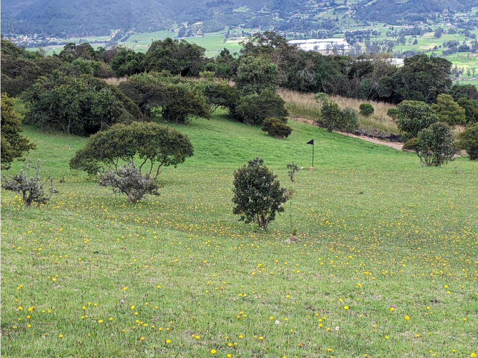 Lote en Sopó, Conjunto Montevioleta