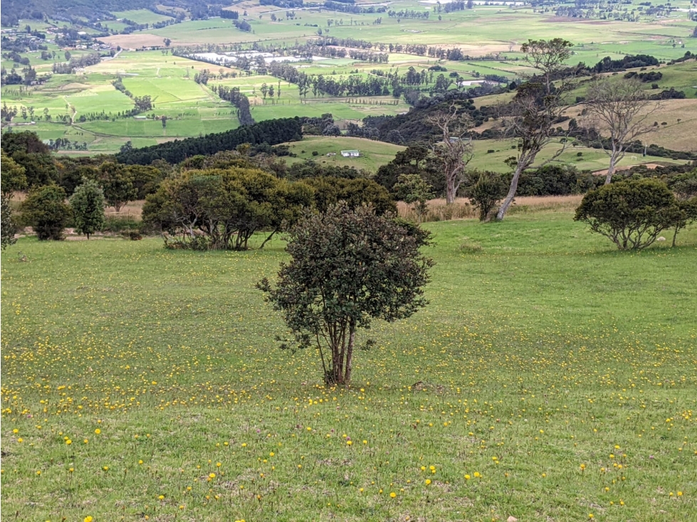 Lote en Sopó, Conjunto Montevioleta — foto 5