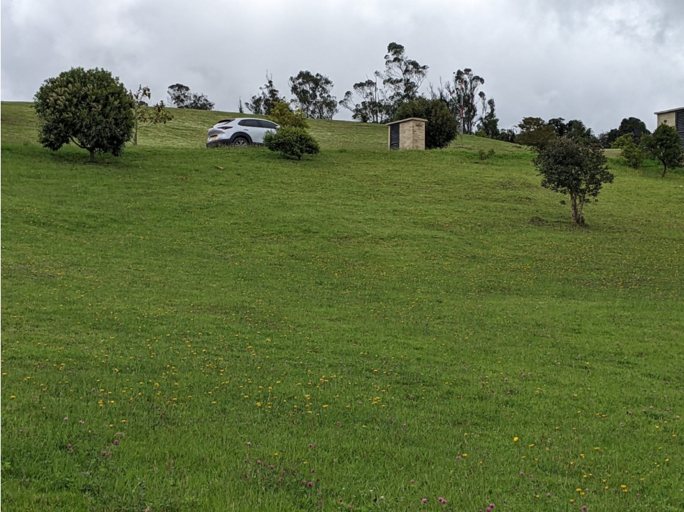 Lote en Sopó, Conjunto Montevioleta — foto 6