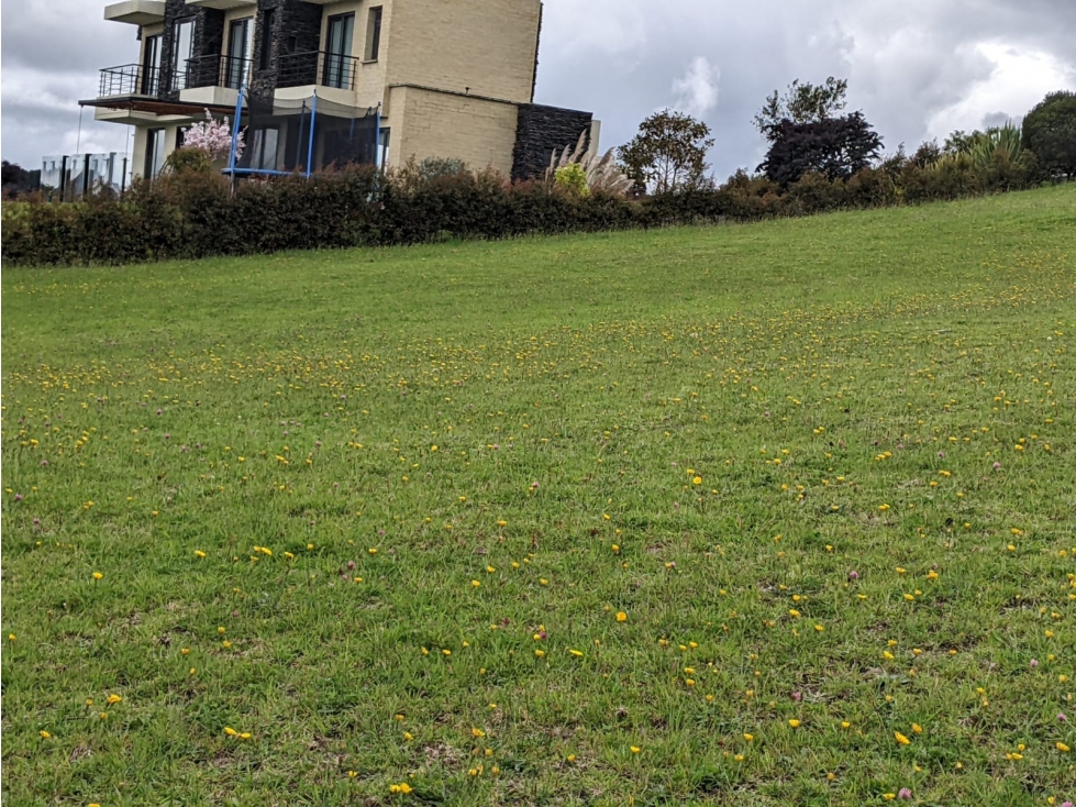 Lote en Sopó, Conjunto Montevioleta — foto 4