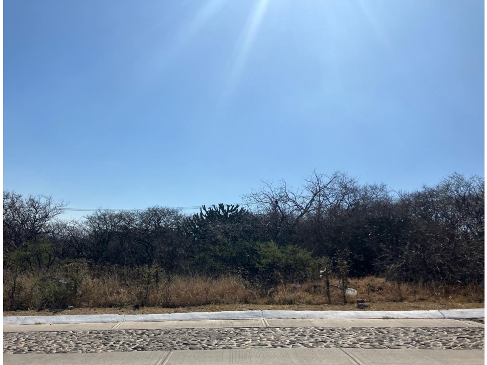 TERRENO VENTA VISTA REAL & COUNTRY CLUB SEMIPLANO - 2