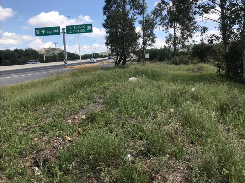 Terreno Comercial en venta sobre la carretera 100 hacia Bernal - 2