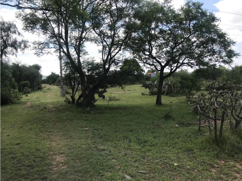 Terreno Comercial en venta sobre la carretera 100 hacia Bernal - 3