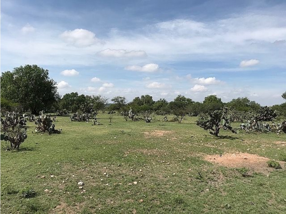 Terreno Campestre en Venta a 5 min del Aeropuerto de Querétaro - 4