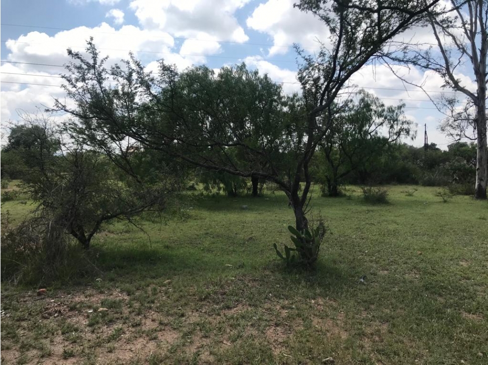 Terreno Campestre en Venta a 5 min del Aeropuerto de Querétaro - 5