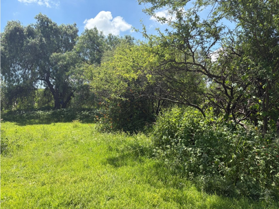 VENTA LOTE CAMPESTRE ESPERANZA COLON QUERETARO - 6