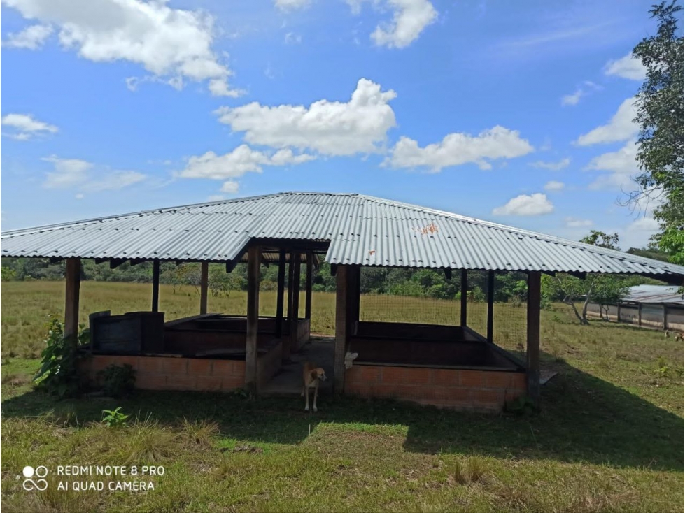 VENTA FINCA EN MURUJUY PUERTO GAITAN META - 6