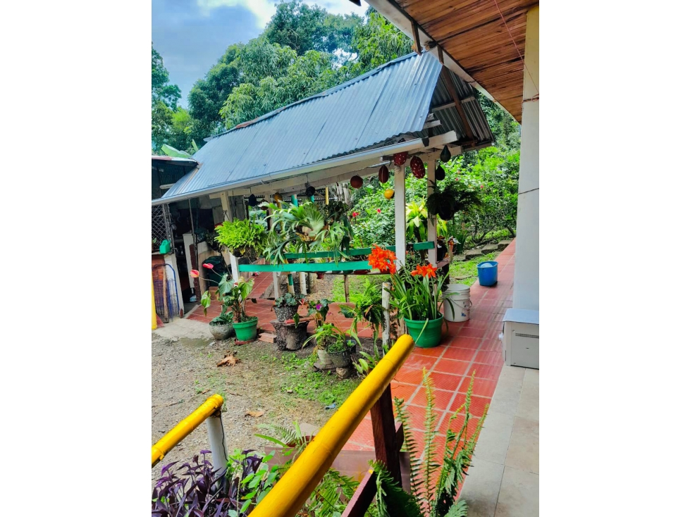 VENTA CASA CAMPESTRE EN ANAPOIMA CUNDINAMARCA - 3