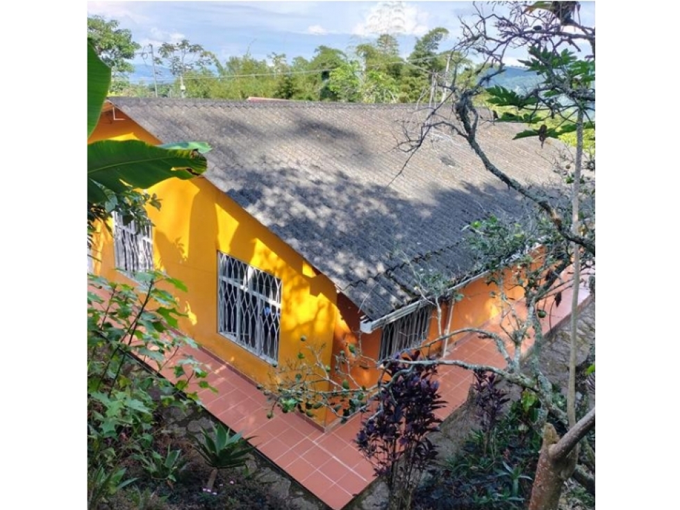 Vendo Finca Descanso o rentas cortas La mesa Cundinamarca. 1280 M2.