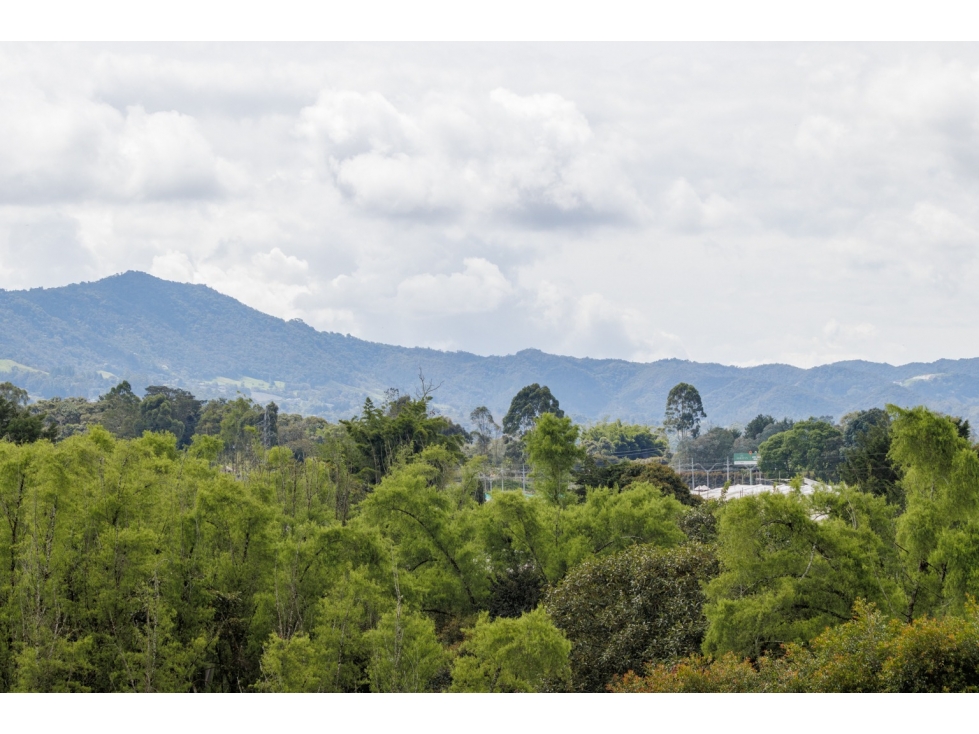 LOTE CAMPESTRE EN VENTA PARCELACIÓN MONTEMADERO (LA CEJA) — foto 2