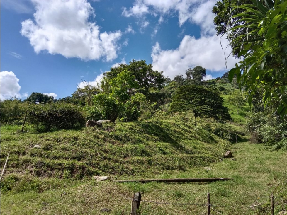 LOTE EN VENTA SECTOR TOTUMO GIRARDOTA — foto 2