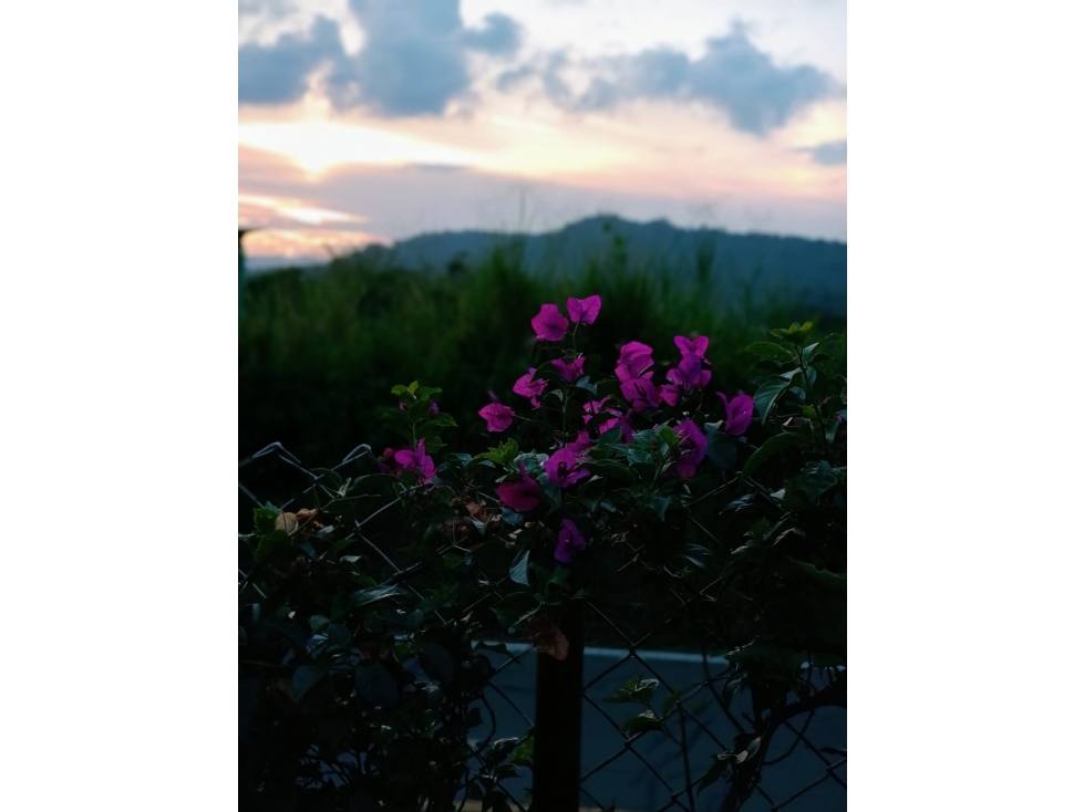 Vendo Finca Descanso o rentas cortas La mesa Cundinamarca. 1280 M2. — foto 2
