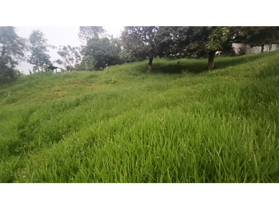 LOTE EN VENTA SECTOR EL TOTUMO GIRARDOTA — foto 2