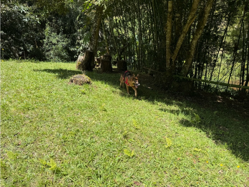Lote en Parcelación Lagos del Chamizo Corredor San Antonio-La Ceja — foto 3