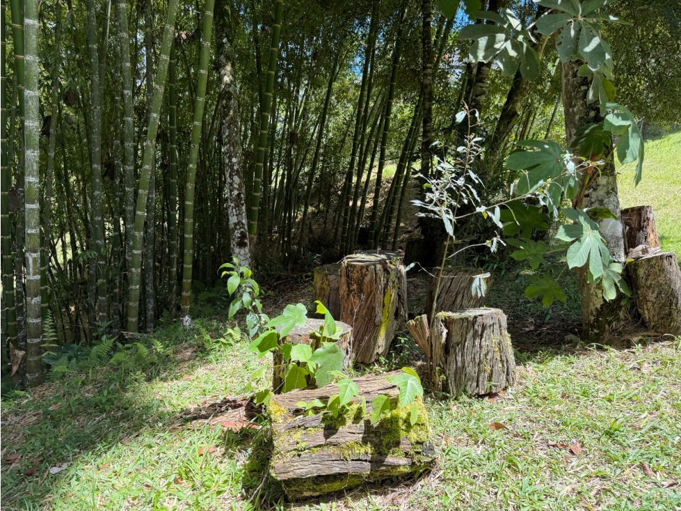 Lote en Parcelación Lagos del Chamizo Corredor San Antonio-La Ceja — foto 4
