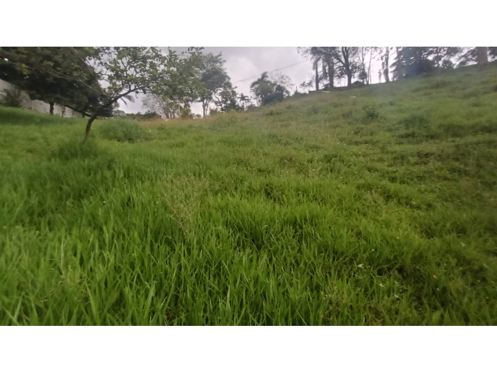 LOTE EN VENTA SECTOR EL TOTUMO GIRARDOTA — foto 3
