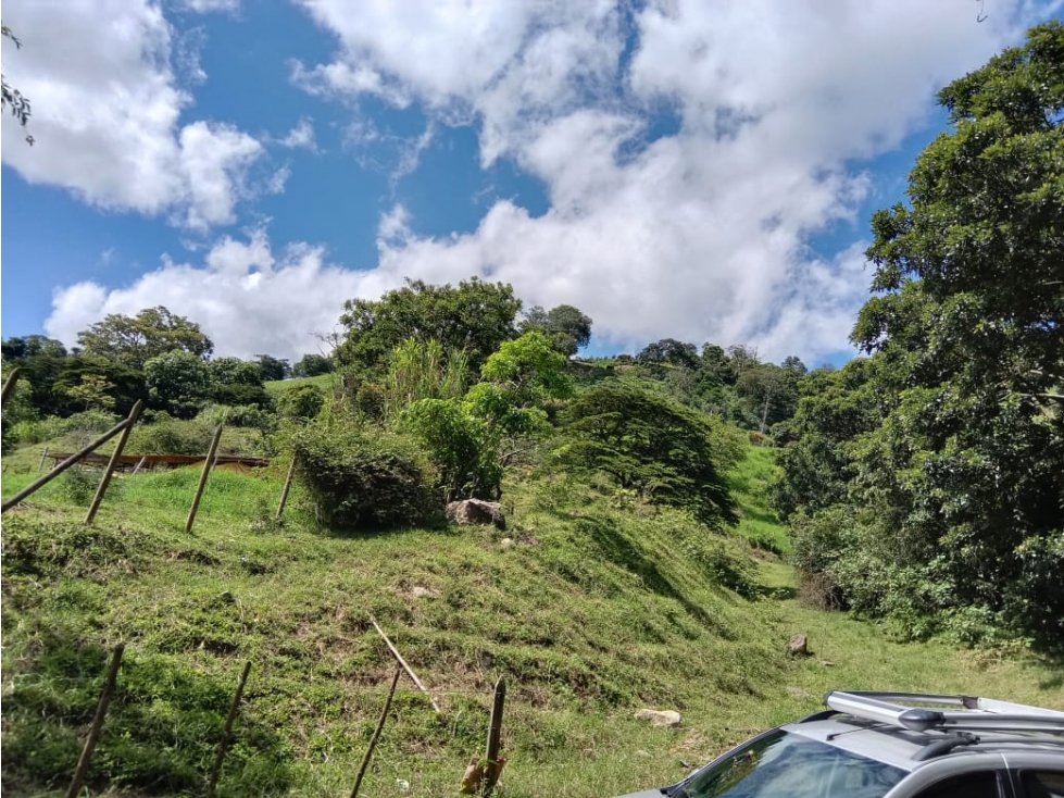 LOTE EN VENTA SECTOR TOTUMO GIRARDOTA — foto 3