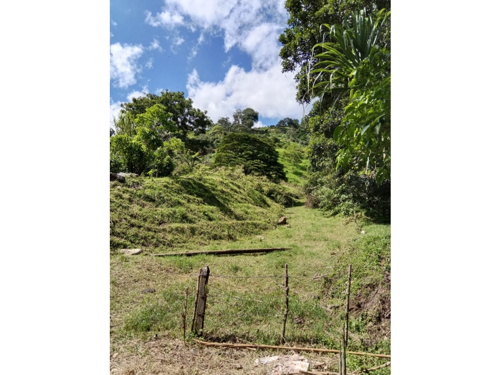 LOTE EN VENTA SECTOR TOTUMO GIRARDOTA — foto 4