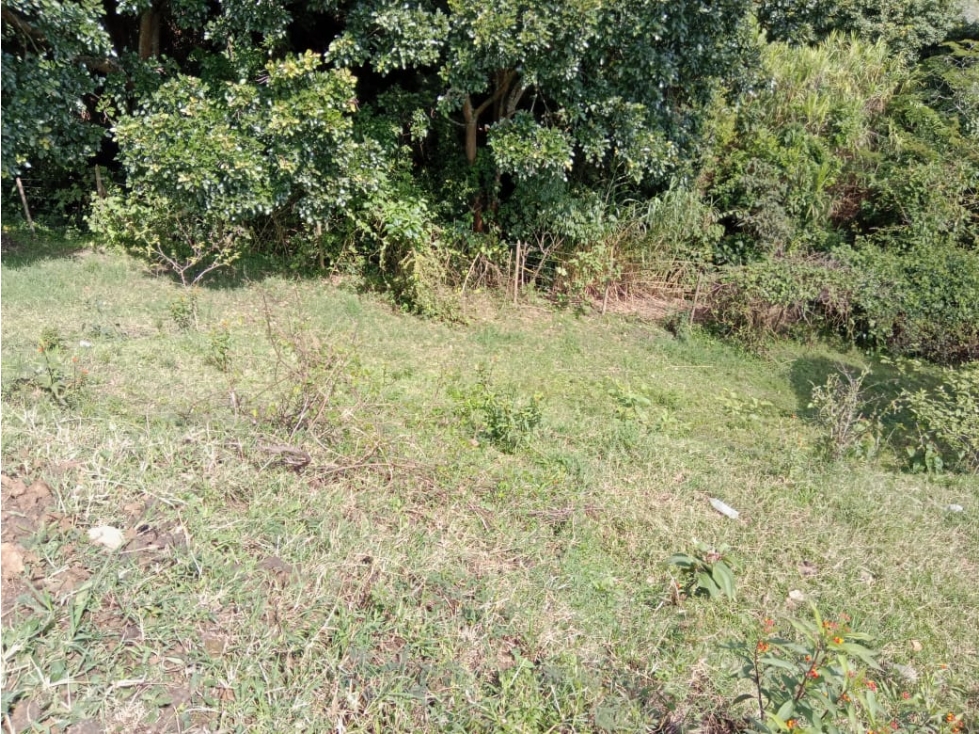 LOTE EN VENTA SECTOR TOTUMO GIRARDOTA — foto 5