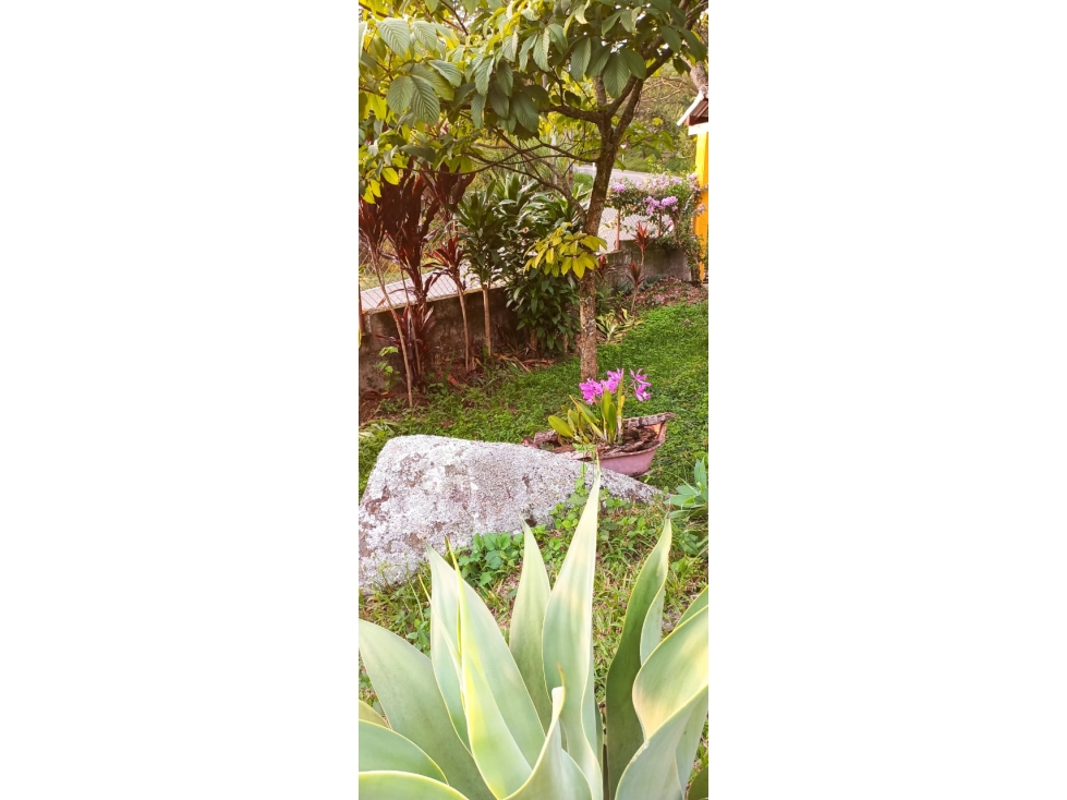 Vendo Finca Descanso o rentas cortas La mesa Cundinamarca. 1280 M2. — foto 3