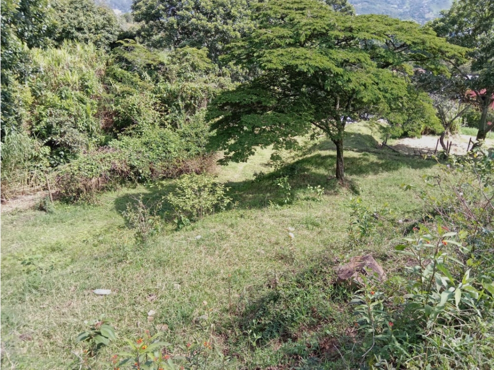 LOTE EN VENTA SECTOR TOTUMO GIRARDOTA — foto 6