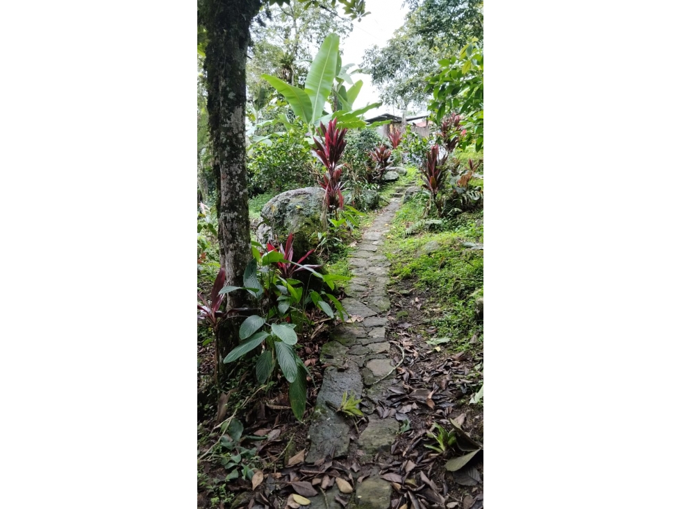 Vendo Finca Descanso o rentas cortas La mesa Cundinamarca. 1280 M2. — foto 6