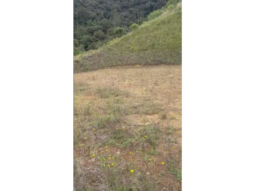 Lote en venta la Ceja Antioquia 1.547 m2 condominio cerrado.