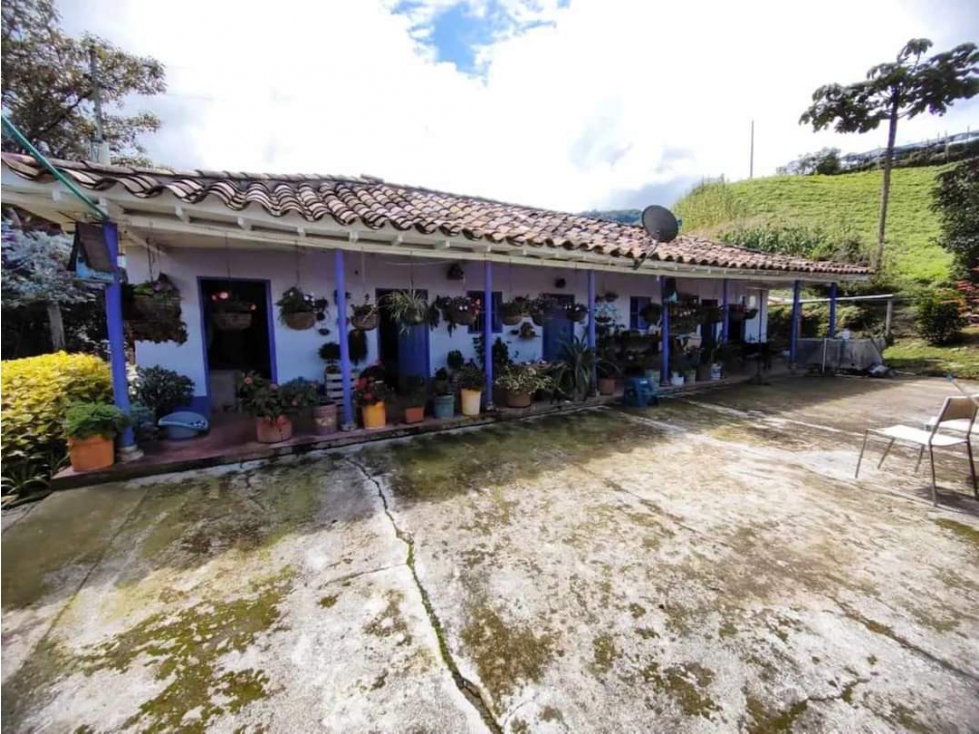VENDO HERMOSA FINCA EN EL CARMEN DE VIBORAL 8.500 MTS CH