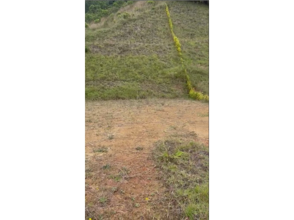 Lote en venta la Ceja Antioquia 1.547 m2 condominio cerrado. — foto 2