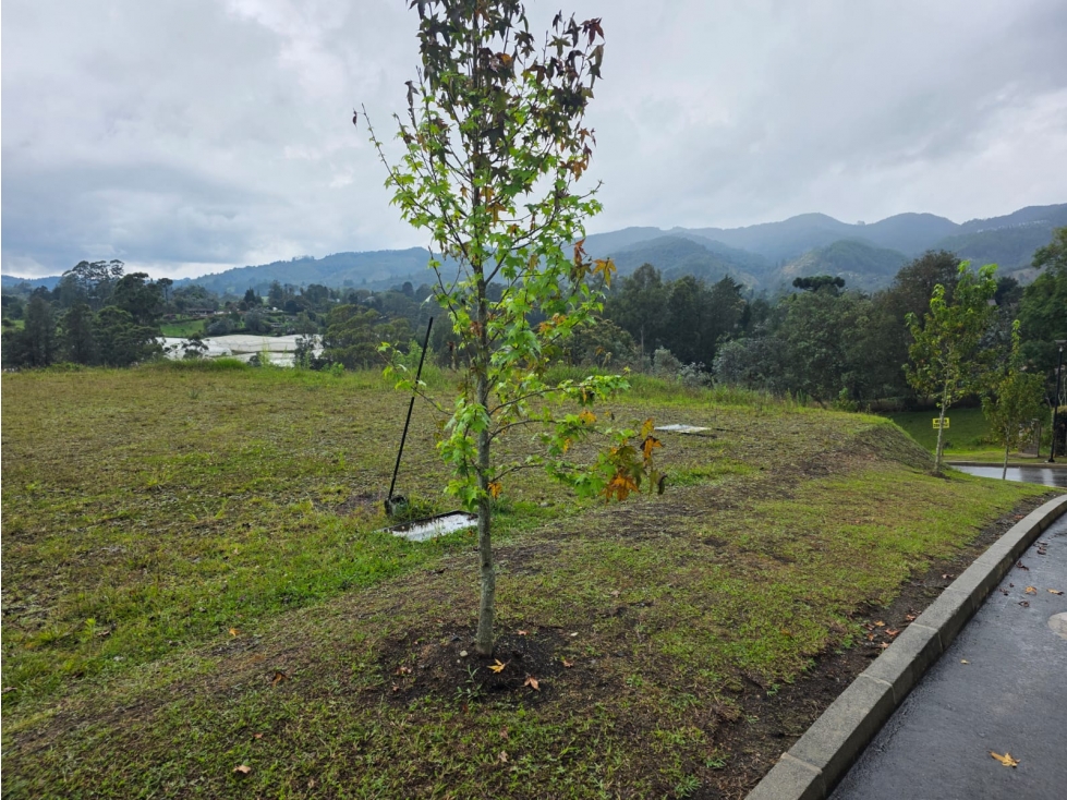 Lote Exclusivo en venta con Vista 360° en Fizebad El Retiro — foto 3