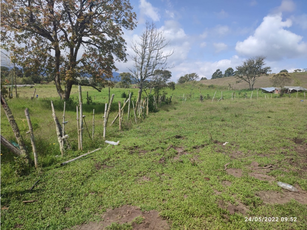 FINCA EN EL CARMEN 28.500 METROS USOS MULTIPLES 3.420 MILLONES — foto 2
