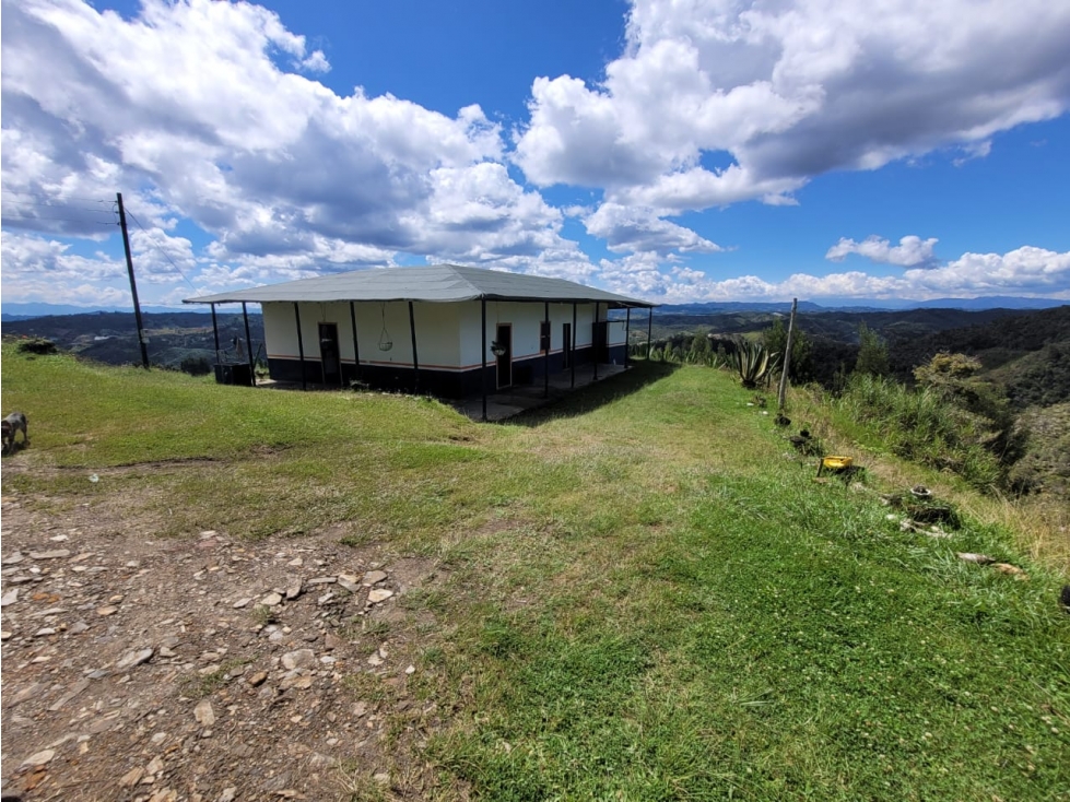 Finca en venta en San Vicente Ferrer 17,5 HA la Magdalena.