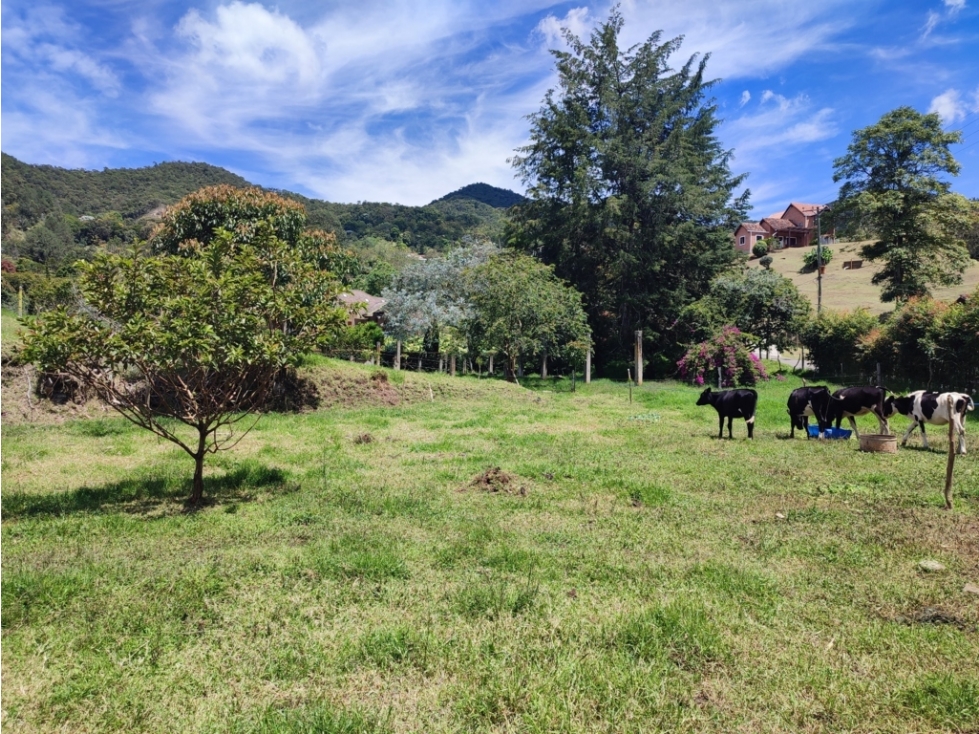vendo lote la Ceja via Rionegro sector el Yarumo 6.125 m2