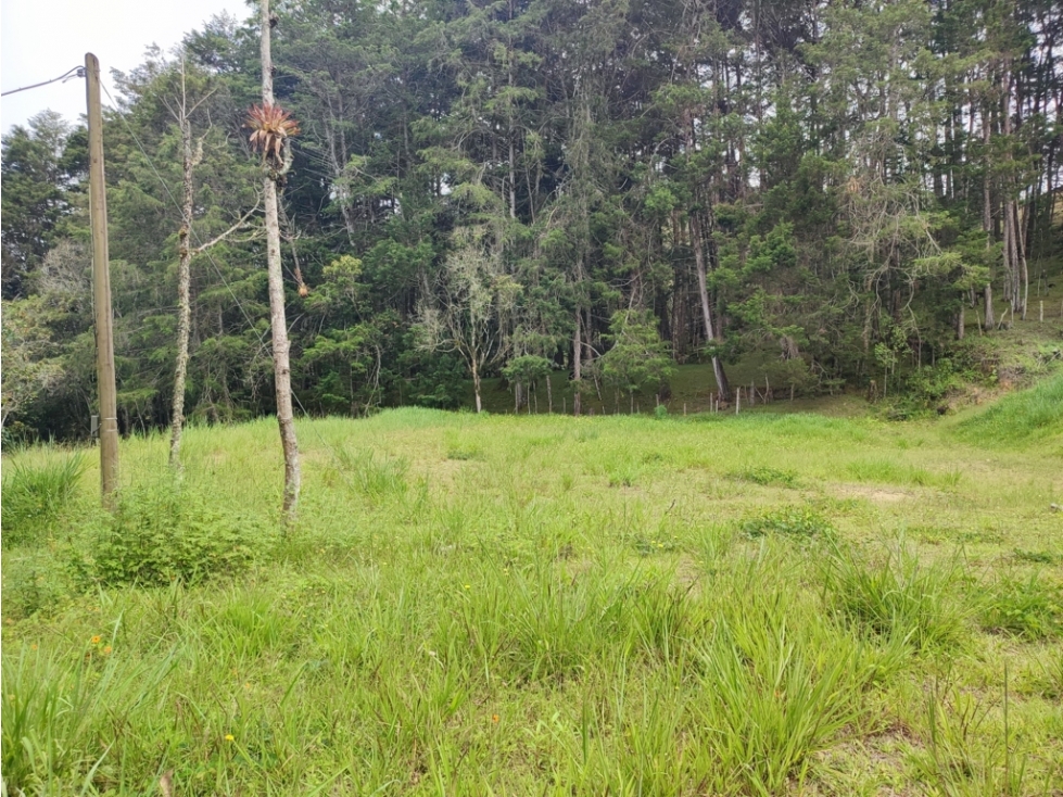 vendo lote, terreno en Guarne Antioquia 36.000 m2