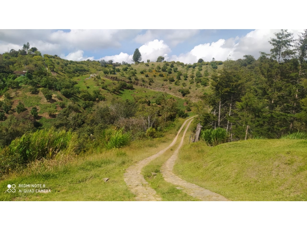 vendo finca productiva san vicente Ferrer Antioquia 93,4 hectareas