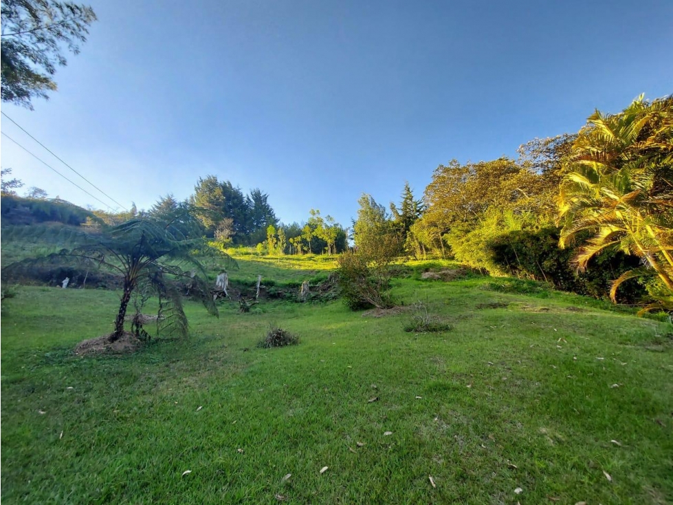 vendo finca Rionegro Antioquia, cerca a la zona Urbana